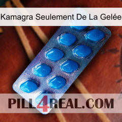 Kamagra Seulement De La Gelée viagra1